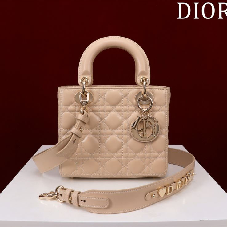 chr1st1an D10r my lady bags